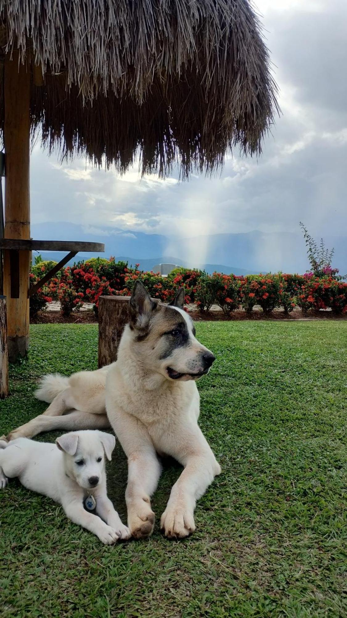 Nalua Glamping Y Hotel San Jerónimo 外观 照片